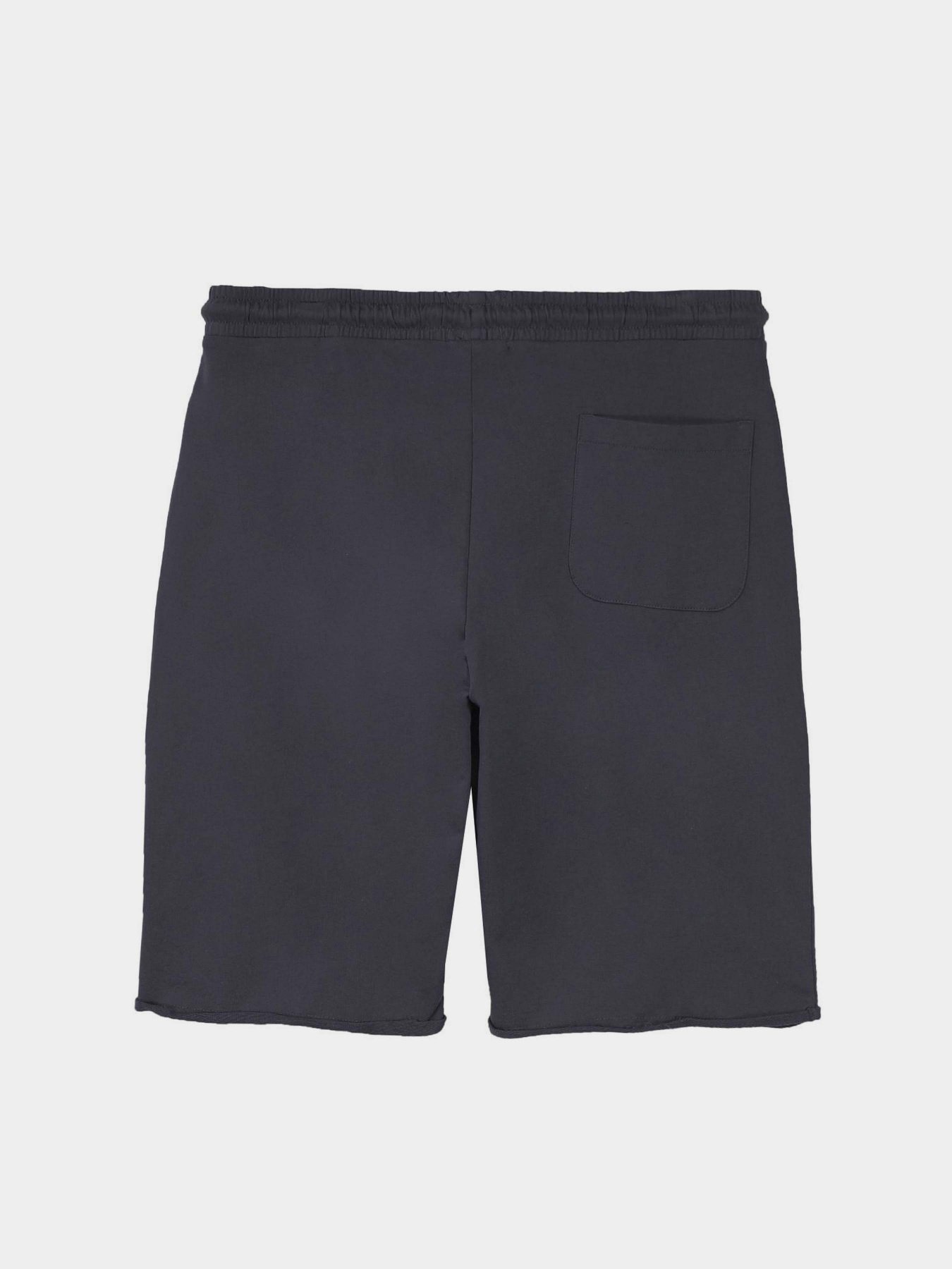 Шорты Piazza Italia модель 87439_blue Фото