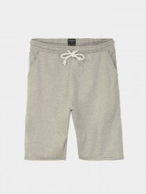 Шорты Piazza Italia модель 87439_grey melange Фото