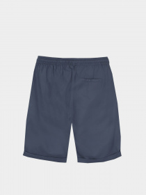 Шорты Piazza Italia модель 05476_avion Фото