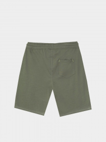 Шорты Piazza Italia модель 06793_army Фото