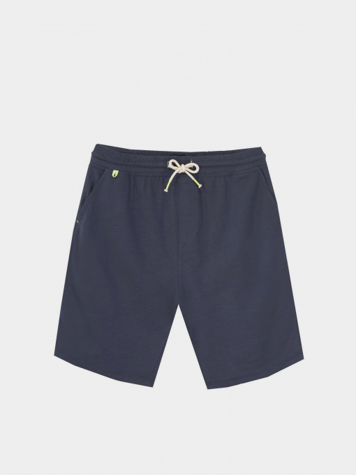 Повседневные шорты Piazza Italia модель 06793_blue Фото