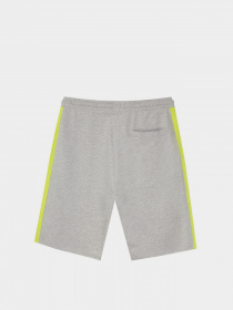 Повседневные шорты Piazza Italia модель 92655_grey melange Фото