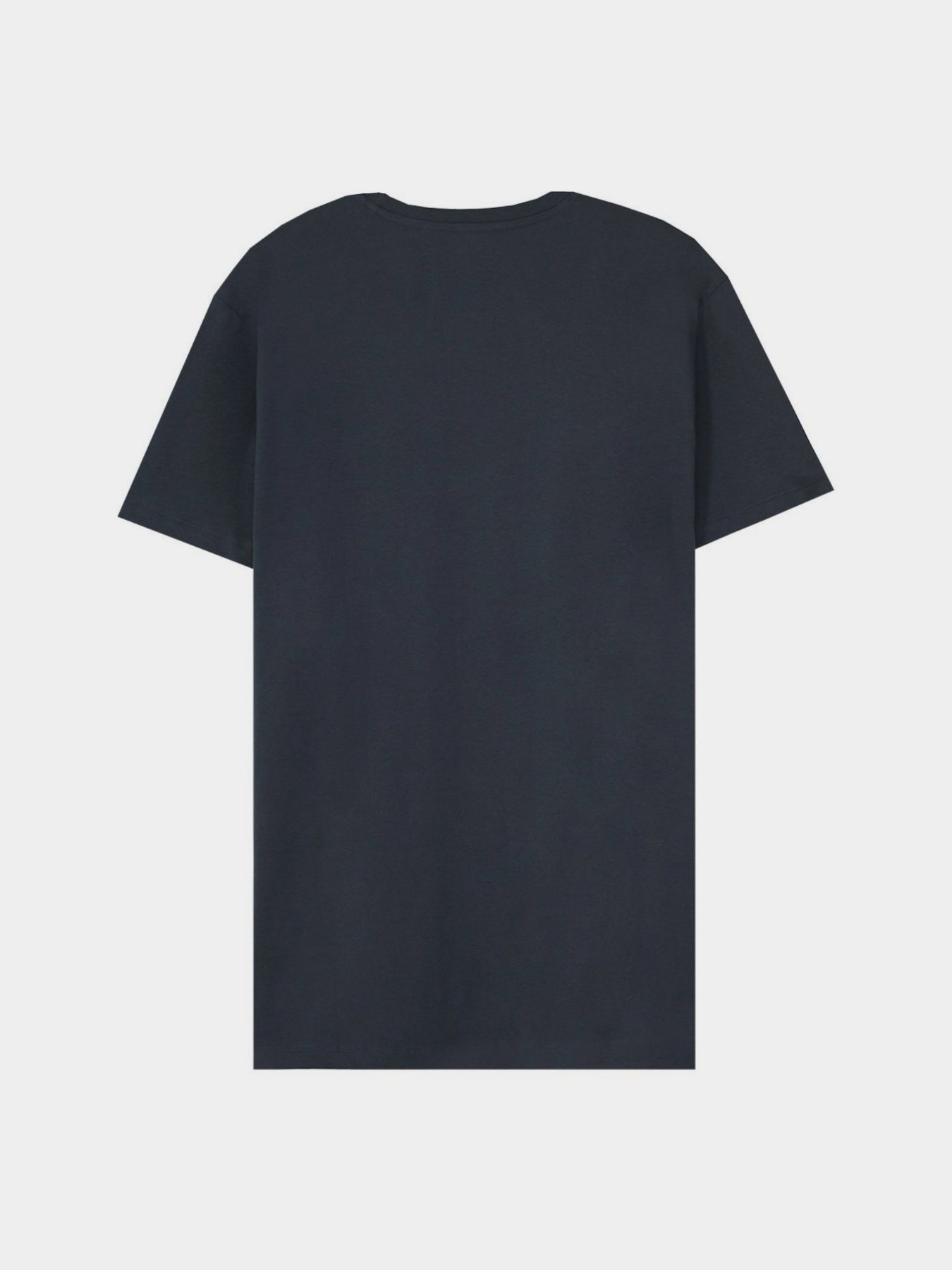 Футболка Piazza Italia модель 99465_avion Фото