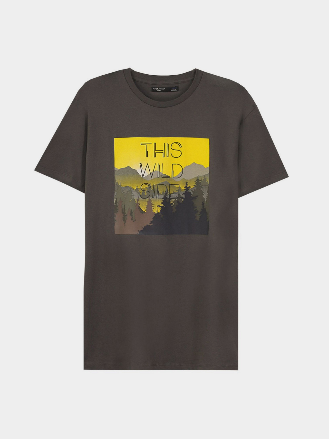 Футболка Piazza Italia модель 99465_lead Фото