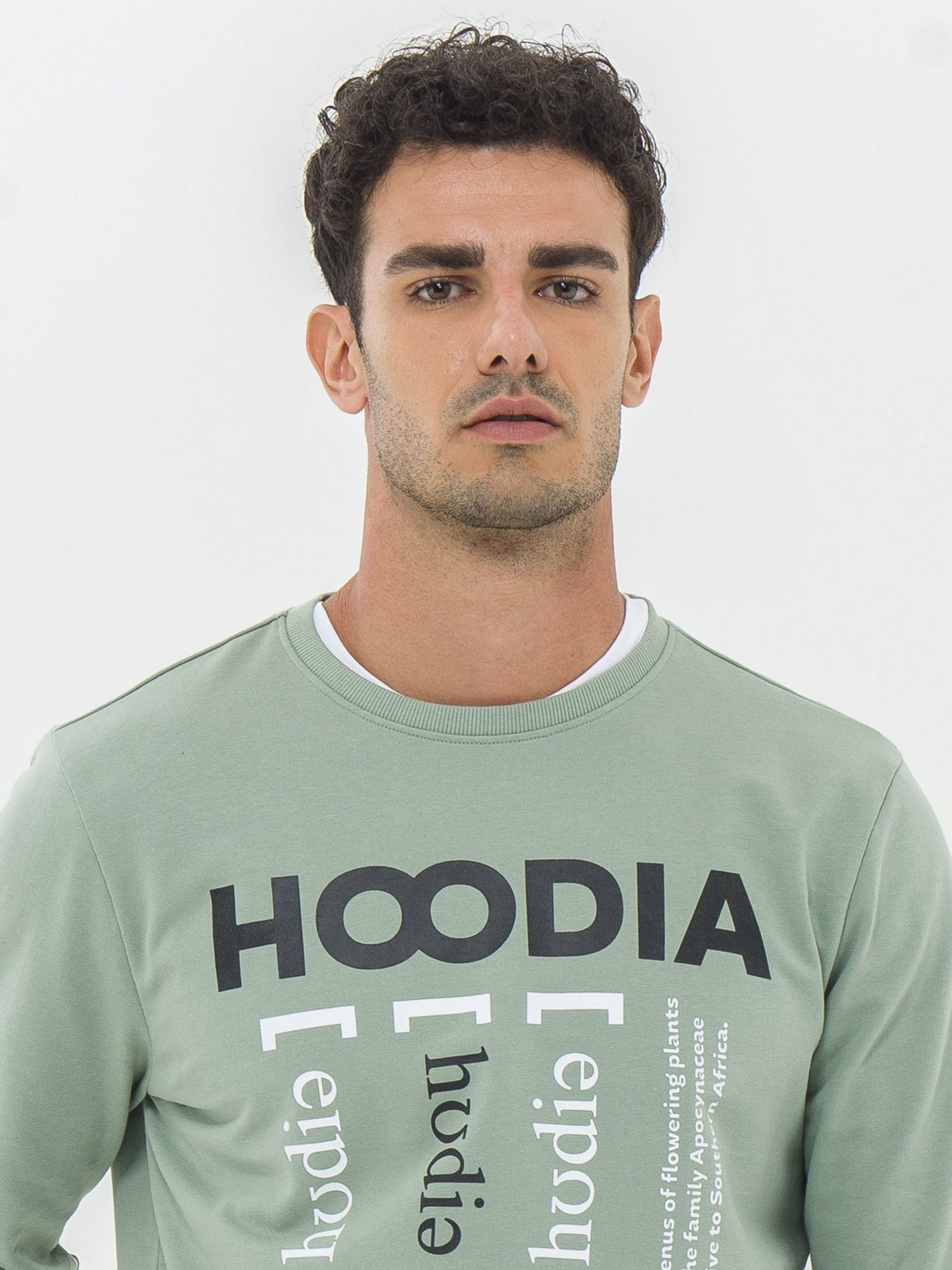 Свитшот Piazza Italia модель 07452_sage Фото