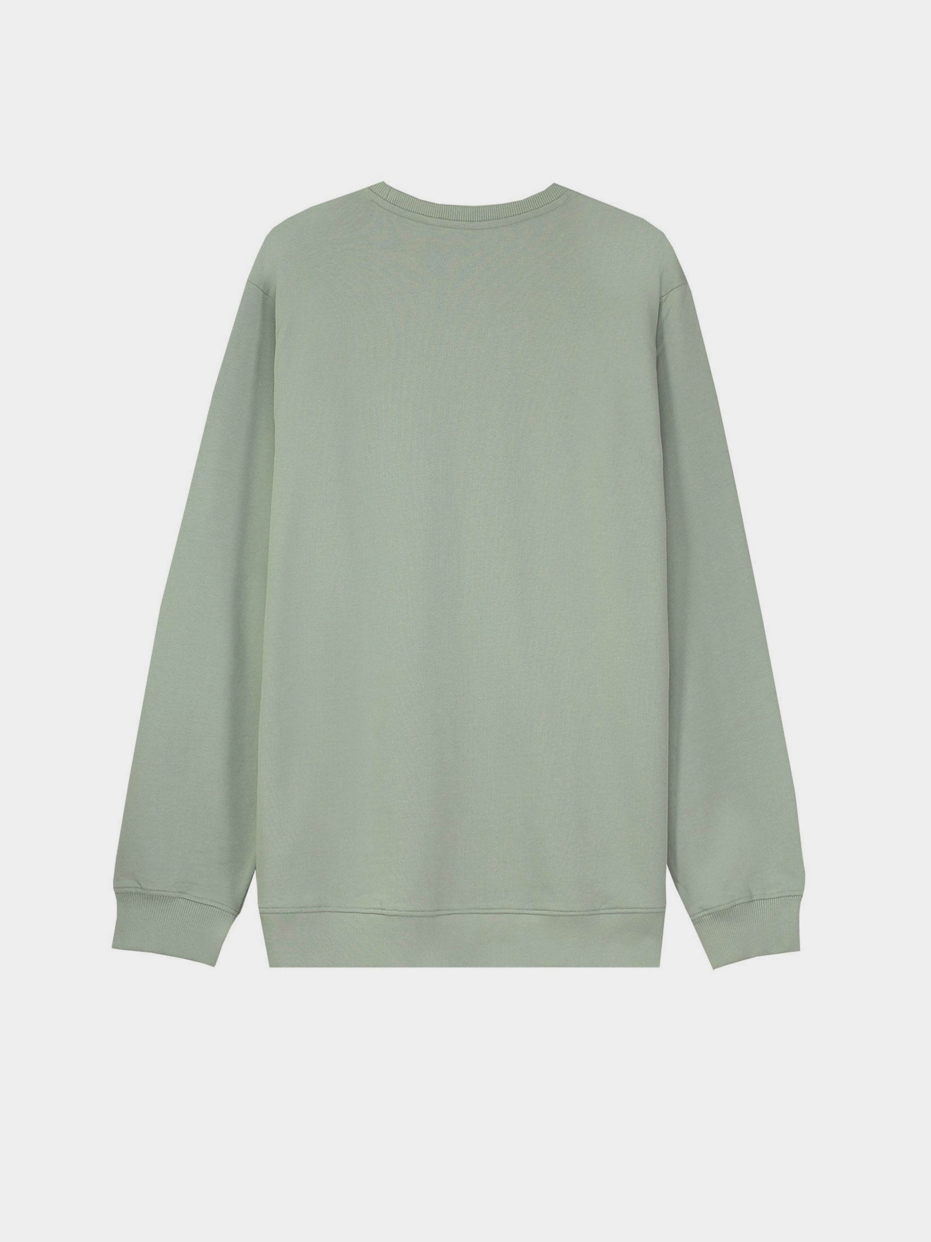 Свитшот Piazza Italia модель 07452_sage Фото