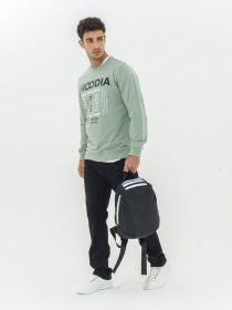 Свитшот Piazza Italia модель 07452_sage Фото