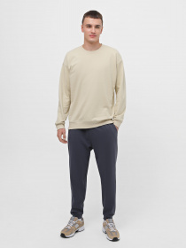 Свитшот Piazza Italia модель 07453_mastic Фото