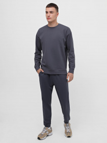 Свитшот Piazza Italia модель 07453_avion Фото