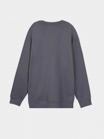 Свитшот Piazza Italia модель 07453_avion Фото