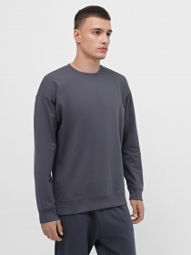 Свитшот Piazza Italia модель 07453_avion Фото