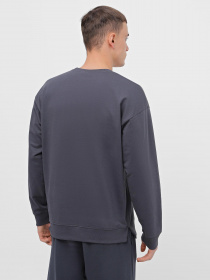 Свитшот Piazza Italia модель 07453_avion Фото