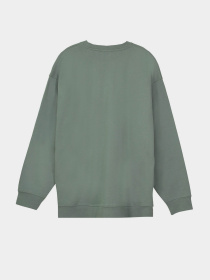 Свитшот Piazza Italia модель 07453_green Фото