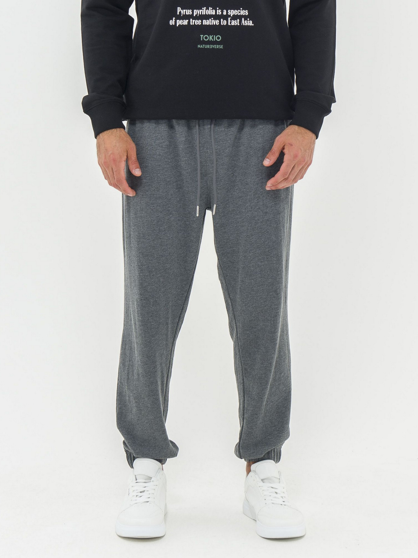 Джоггеры Piazza Italia модель 07456_Antracite melange Фото