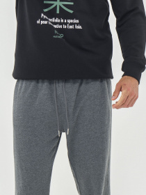 Джоггеры Piazza Italia модель 07456_Antracite melange Фото