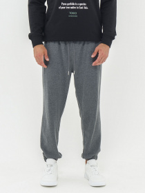 Джоггеры Piazza Italia модель 07456_Antracite melange Фото