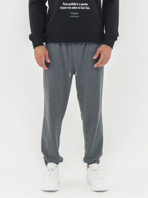 Джоггеры Piazza Italia модель 07456_Antracite melange Фото