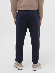 Джоггеры Piazza Italia модель 07456_blue Фото