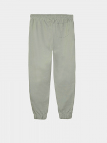 Джоггеры Piazza Italia модель 07456_sage Фото