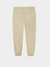 Чиносы Piazza Italia модель 07463_mastic Фото