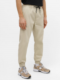 Чіноси Piazza Italia модель 07463_mastic Фото