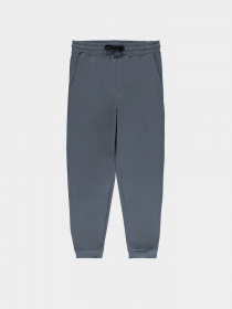 Джоггеры Piazza Italia модель 07519_avion Фото