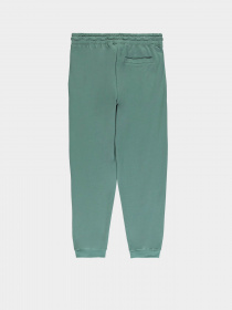 Джоггеры Piazza Italia модель 07519_green Фото