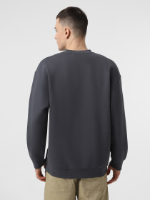 Свитшот Piazza Italia модель 07520_avion Фото