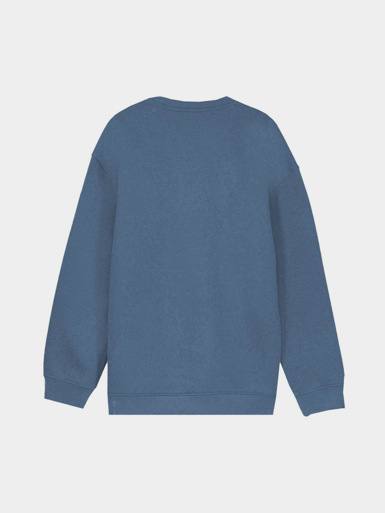 Свитшот Piazza Italia модель 07520_avion Фото