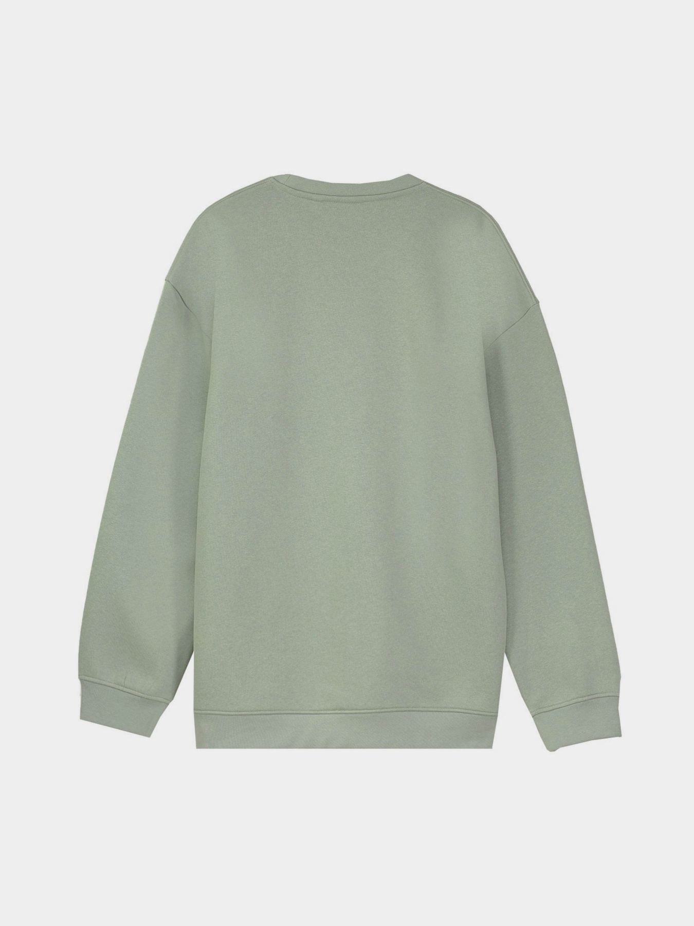 Свитшот Piazza Italia модель 07520_sage Фото