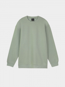 Свитшот Piazza Italia модель 07520_sage Фото