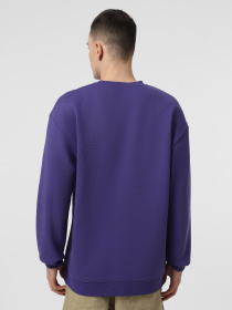 Свитшот Piazza Italia модель 07520_violet Фото