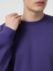 Свитшот Piazza Italia модель 07520_violet Фото