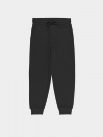 Джоггеры Piazza Italia модель 07521_black Фото