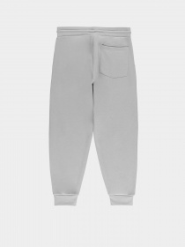 Джоггеры Piazza Italia модель 07521_grey melange Фото