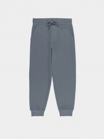 Джоггеры Piazza Italia модель 07521_avion Фото