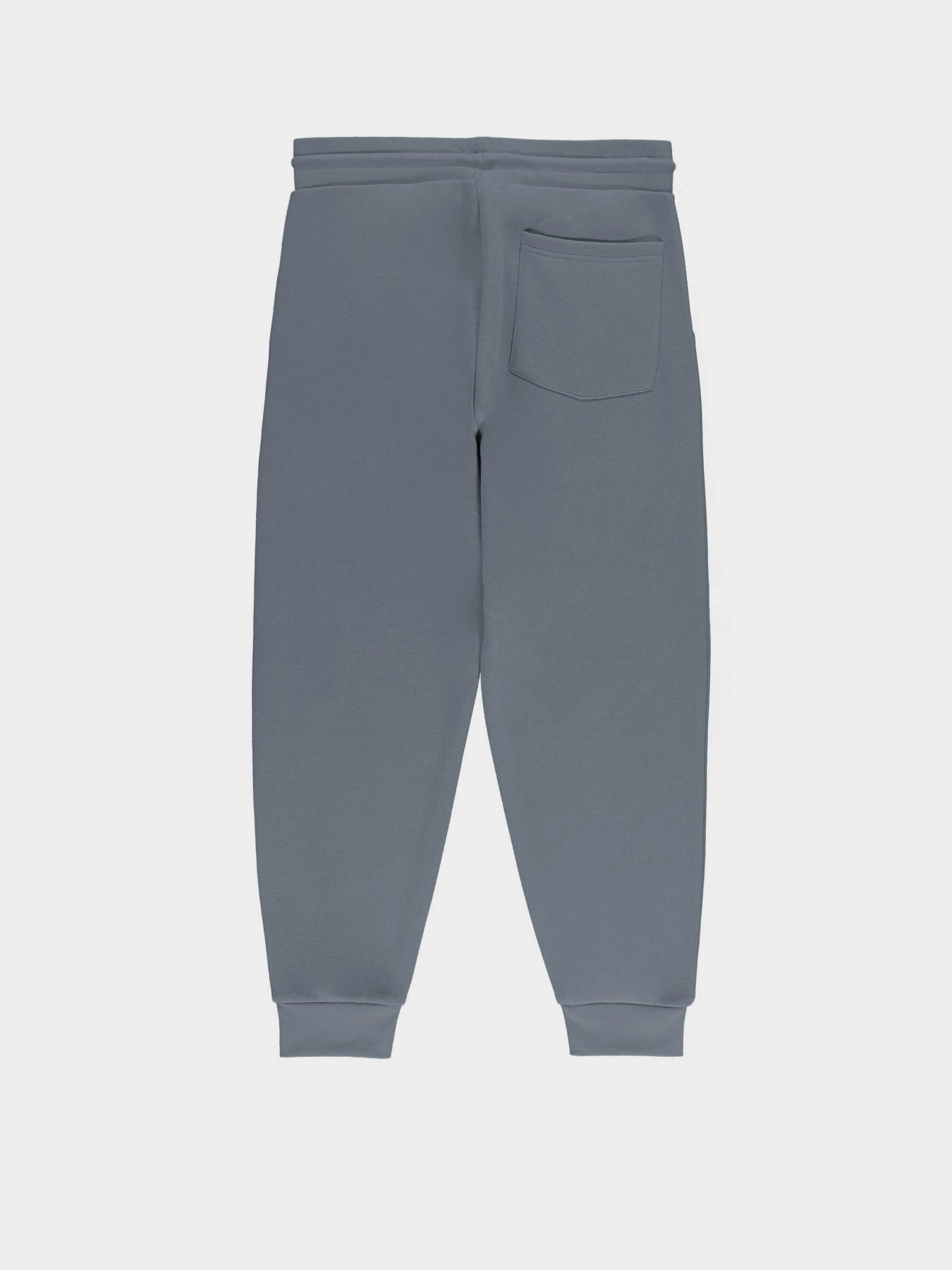 Джоггеры Piazza Italia модель 07521_avion Фото