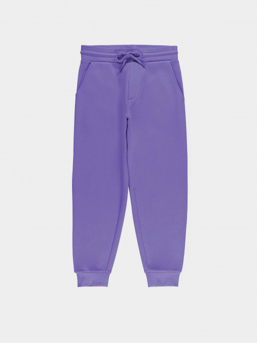 Джоггеры Piazza Italia модель 07521_violet Фото