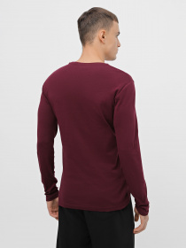 Лонгслив Piazza Italia модель 07540_plum Фото