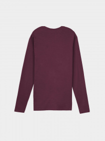 Лонгслив Piazza Italia модель 07540_plum Фото