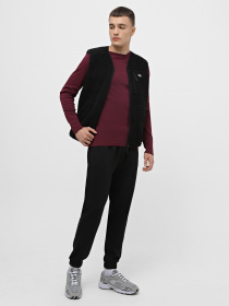 Лонгслів Piazza Italia модель 07540_plum Лонгслів Piazza Italia модель 07540_plum Фото