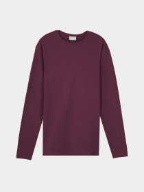 Лонгслів Piazza Italia модель 07540_plum Лонгслів Piazza Italia модель 07540_plum Фото