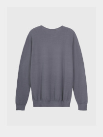 Джемпер Piazza Italia модель 07561_avion Фото