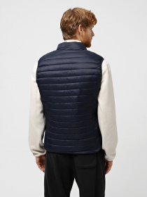 Жилет с утеплителем Piazza Italia модель 07563_blue Фото