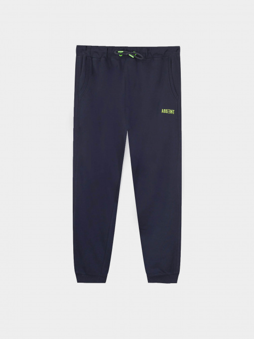 Джоггеры Piazza Italia модель 07705_blue Фото