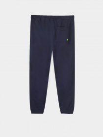 Джогери Piazza Italia модель 07705_blue Фото