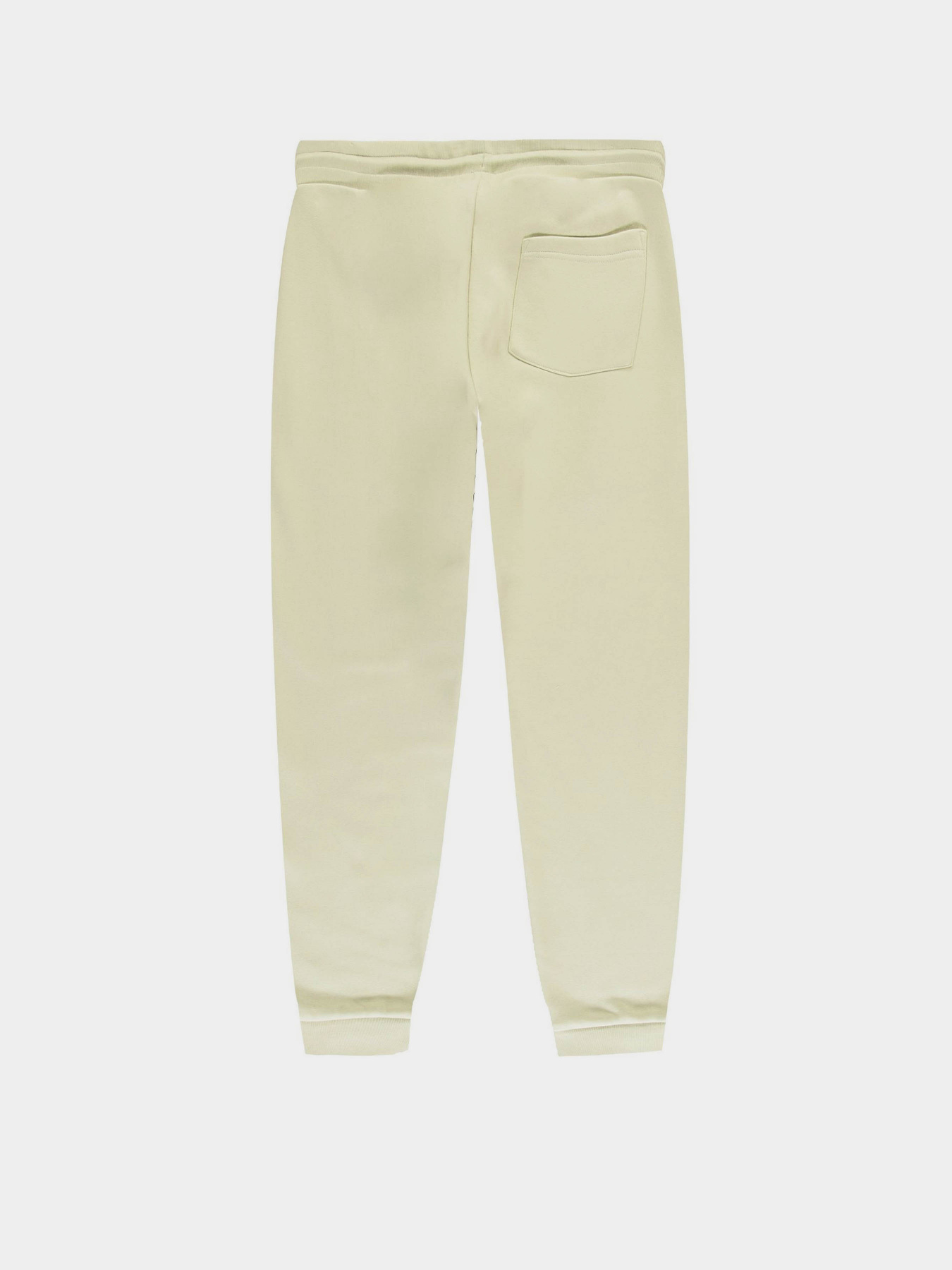 Джоггеры Piazza Italia модель 09191_mastic Фото