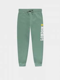 Джоггеры Piazza Italia модель 09191_green Фото