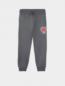 Джоггеры Piazza Italia модель 09191_avion Фото