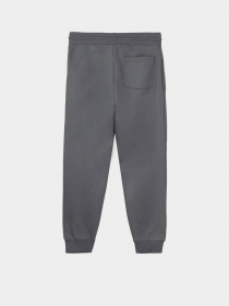 Джоггеры Piazza Italia модель 09191_avion Фото